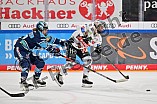 Eishockey, Frauen, DFEL, Spieltag 8, Saison 2022-2023, ERC Ingolstadt - ECDC Memmingen Indians, 23.10.2022