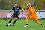 Fußball, Herren, Bezirksliga Mittelfranken Süd, Saison 2022-2023, Spieltag 13, TSV Greding - TuS Feuchtwangen, 01.11.2022