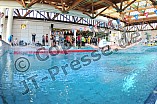 21.03.2015 - ERC Ingolstadt - Iserlohn Roosters