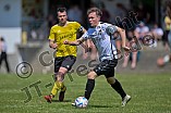 Fußball, Herren, Kreisliga West, Saison 2022-2023, Spieltag 25, DJK Pollenfeld - TSV Heideck, 04.06.2023