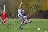 Fußball, Herren, Kreisliga Neumarkt Jura West, Saison 2023-2024, Spieltag 11, SV Marienstein - SV Alesheim, 22.10.2023