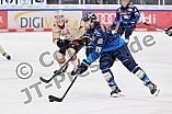 Eishockey, Herren, DEL, Saison 2024-2025, Vorbereitung, ERC Ingolstadt - Nürnberg Ice Tigers, 15.09.2024