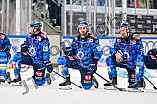 Eishockey, Herren, DEL, Saison 2025-2026, Spiel 23, ERC Ingolstadt - Dresdner Eislöwen, 28.11.2025