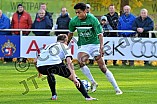 29.10.2016 - VfB Eichstätt - SV Erlenbach-Main