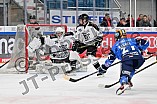 Eishockey, Frauen, DFEL, Saison 2023-2024, ERC Ingolstadt - Amsterdam Tigers, 06.01.2024