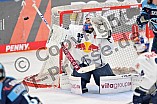 Eishockey, Herren, DEL, Saison 2022-2023, Playoff-Finale - Spiel 2, ERC Ingolstadt - EHC Red Bull München, 16.04.2023