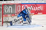 Eishockey, Frauen, DFEL, Saison 2024-2025, ERC Ingolstadt - EC Bergkamener Bären, 04.01.2025
