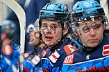 Eishockey, Herren, DEL, Saison 2025-2026, Spiel 23, ERC Ingolstadt - Dresdner Eislöwen, 28.11.2025
