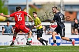 Fußball, Herren, Bezirksliga Oberbayern Nord, Saison 2024-2025, Spieltag 26, TSV Gaimersheim - BC Attaching, 19.04.2025