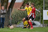 Fußball, Herren, Kreisliga West, Saison 2022-2023, Spieltag 5, DJK Pollenfeld - TSG 08 Roth, 10.09.2022