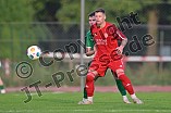 Fußball, Herren, Bayernliga Nord, Saison 2024-2025, Spieltag 9, VfB Eichstätt - TSV Kornburg, 30.08.2024