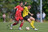 Fußball, Herren, Neumarkt Jura, Kreisliga West, Saison 2022-2023, Spieltag 26, DJK Limes - DJK Pollenfeld, 11.06.2023