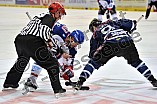 12.04.2015 - ERC Ingolstadt - Adler Mannheim