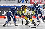 Eishockey, Frauen, DFEL, Saison 2021-2022, ERC Ingolstadt - Mad Dogs Mannheim, 23.10.2021