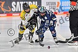 Eishockey, Frauen, DFEL, Saison 2021-2022, ERC Ingolstadt - Mad Dogs Mannheim, 24.10.2021