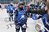 Eishockey, Frauen, DFEL, Saison 2023-2024, ERC Ingolstadt - Amsterdam Tigers, 06.01.2024