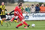 19.11.2017 - DJK Limes - DJK Pollenfeld