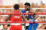 Boxen, Herren, Länderkampf, LV Hessen - LV Bayern, 31.08.2025