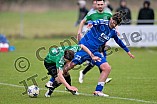 Fußball, Herren, Bezirksliga Mittelfranken Süd, Saison 2024-2025, Spieltag 24, TSV Greding - FV Fortuna Neuses e.V., 30.03.2025