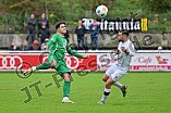 Fußball, Herren, Bayernliga Nord, Saison 2024-2025, Spieltag 15, VfB Eichstätt - SpVgg Bayern Hof, 06.10.2024