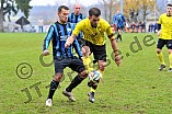 15.11.2014 - FC Gelbelsee - TSV Großmehring