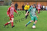 10.11.2013 - DJK Eichstätt-Preith - SC Irgertsheim