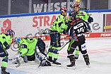 Eishockey, Herren, DEL, Saison 2020-2021, Straubing Tigers - ERC Ingolstadt, 31.01.2021