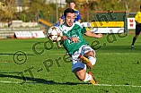 08.11.2014 - VfB Eichstätt - TSV 1883 Bogen