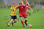 Fußball, Herren, Kreisklasse Neumarkt Jura Süd, Saison 2025-2026, Spieltag 9, DJK Grafenberg - DJK Pollenfeld, 28.09.2025