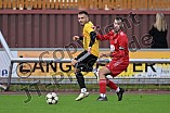 Fußball, Herren, Kreisliga 1, Saison 2024-2025, Spieltag 9, SV Eitensheim - TSV Lichtenau, 28.09.2024