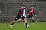 Fußball, Herren, Bayernliga Nord, Saison 2024-2025, Spieltag 31, FC Ingolstadt 04 II - ATSV Erlangen, 25.04.2025