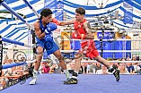 Boxen, Ländervergleichskampf Bayern vs. Baden-Württemberg, 03.09.2023