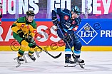 Hockey, Mens, CHL, Season 2025-2026, Regular Season, Game Day 1, ERC Ingolstadt - Ilves Tampere, 28.08.2025