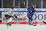 Eishockey, Herren, DEL, Saison 2024-2025, Spieltag 42, ERC Ingolstadt - Kölner Haie, 31.01.2025