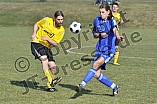 20.03.2011 - SV Ochsenfeld / DJK Pollenfeld