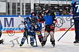 Eishockey, Saison 2025-2026, ERC Ingolstadt - Kids On Ice Day, 10.01.2026