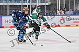 Eishockey, Frauen, European Womens Hockey League, Saison 2024-2025, ERC Ingolstadt - Lakers Kärnten, 13.09.2024