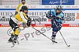 Eishockey, Frauen, DFEL, Halbfinale, Saison 2022-2023, ERC Ingolstadt - Mad Dogs Mannheim, 25.02.2023