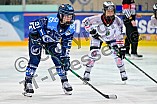 Eishockey, Frauen, DFEL, Saison 2025-2026, ERC Ingolstadt - ECDC Memmingen Indians, 25.01.2026