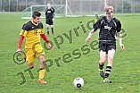 15.11.2015 - DJK Pollenfeld - SG SV Cronheim