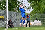 Fußball, Herren, Hilpoltsteiner Stadtmeisterschaft, Saison 2024-2025, Finale, SF Hofstetten - TV Hilpoltstein, 08.06.2025