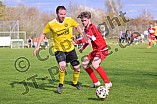 Fußball, Herren, Kreisliga West, Saison 2021-2022, Spieltag 18, DJK Pollenfeld - TSV 1860 Weißenburg U 23 II, 18.04.2022