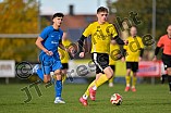 Fußball, Herren, Kreisklasse Neumarkt Jura Süd, Saison 2025-2026, Spieltag 12, DJK Pollenfeld - TSV Berching, 18.10.2025