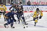 Eishockey, Frauen, DFEL, Saison 2022-2023, ERC Ingolstadt - Mad Dogs Mannheim, 19.11.2022