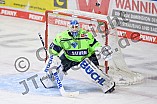 Eishockey, Herren, DEL, Saison 2020-2021, Straubing Tigers - ERC Ingolstadt, 31.01.2021