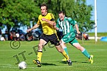 09.06.2014 - DJK Grafenberg II - DJK Pollenfeld II