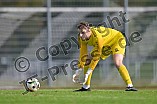 Fußball, Herren, Bezirksliga Oberbayern Nord, Saison 2024-2025, Spieltag 12, TSV Gaimersheim - SpVgg Kammerberg, 06.10.2024