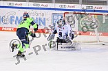 Eishockey, Herren, DEL, Saison 2020-2021, ERC Ingolstadt - Straubing Tigers, 13.02.2021