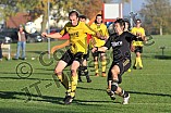 19.10.2013 - DJK Pollenfeld - DJK-SpVgg Rohr