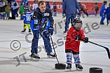 ERC Ingolstadt Kids on Ice Day, 23.02.2019